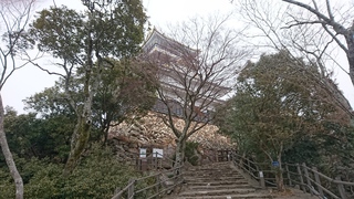 No.2.JPG