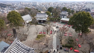 No.5.JPG